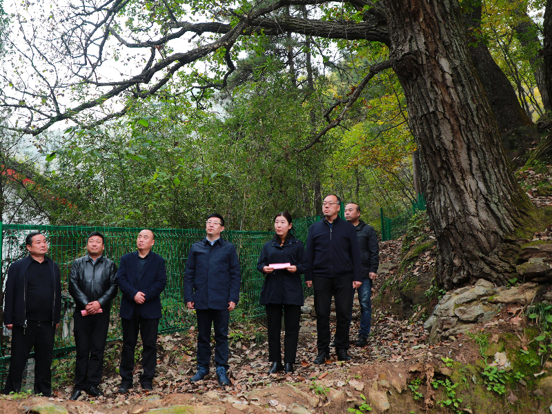 1761820221498023.jpg 最终用.jpg