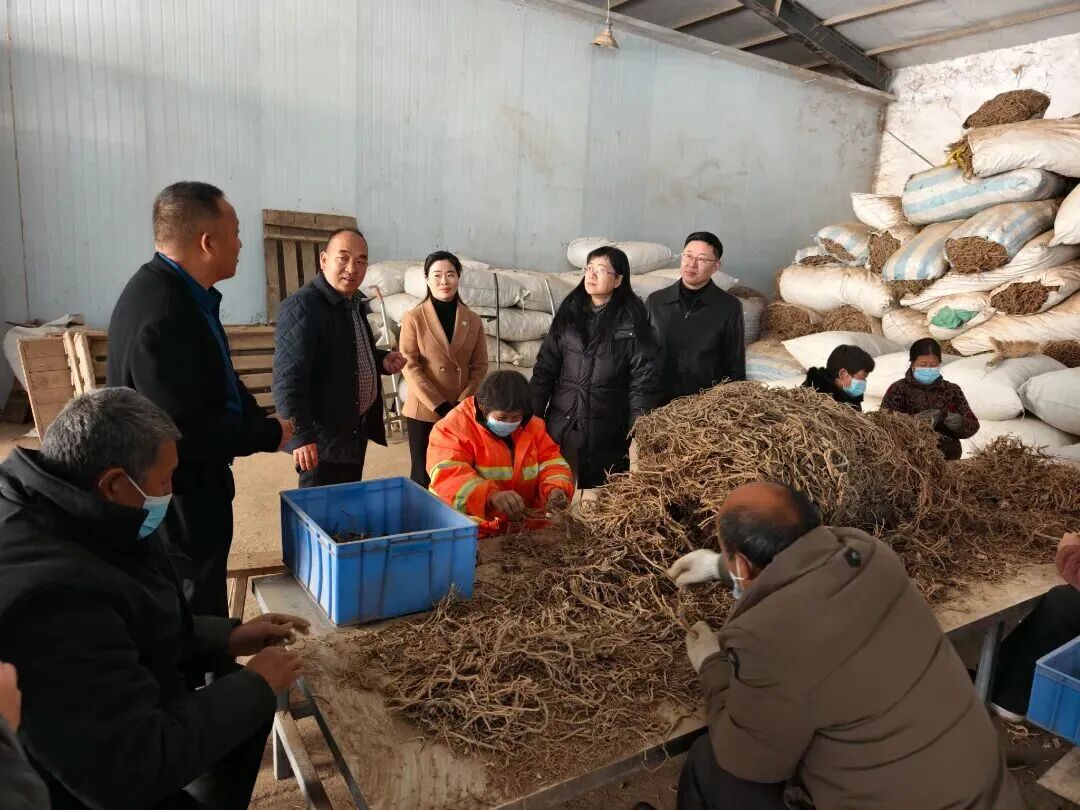 1773976905455924.jpg 1773976905455924.jpg